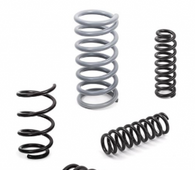 Goldschmitt Coil springs